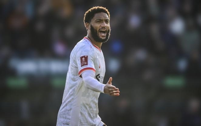 亚历山大以 亚历山大以