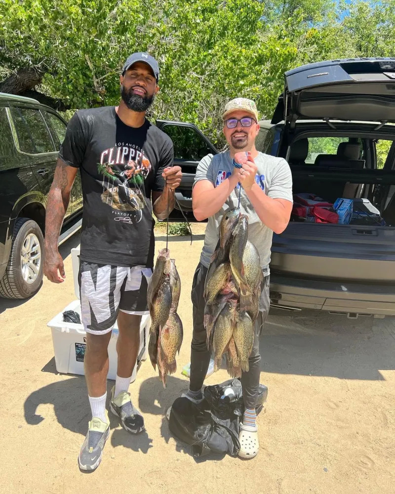 篮板球对比 篮板球对比