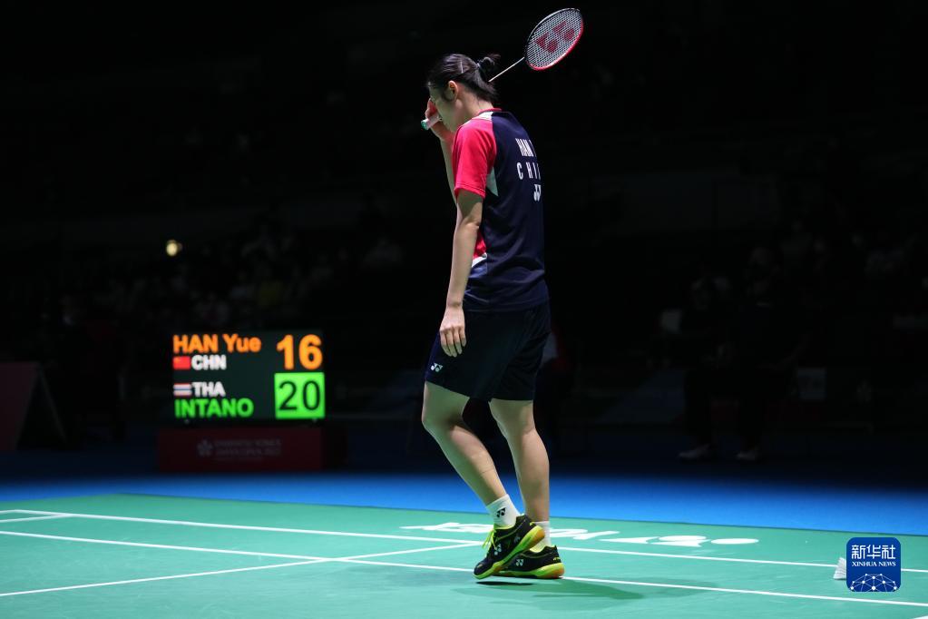 会共同放大 会共同放大